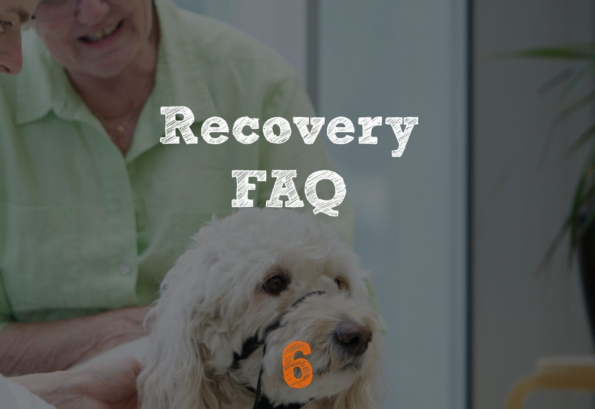 TPLO Recovery FAQ